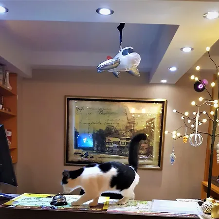 Pansion River Affittacamere