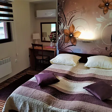 Gasthuis Pansion River 4*