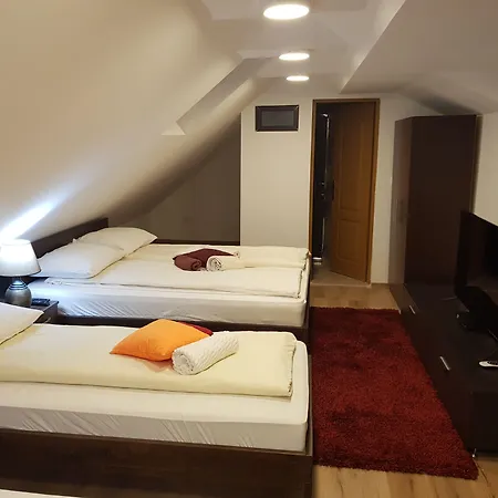 Pansion River Gasthuis 4*