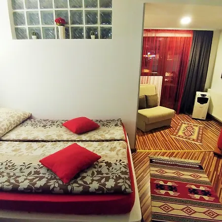 Gasthuis Pansion River 4*