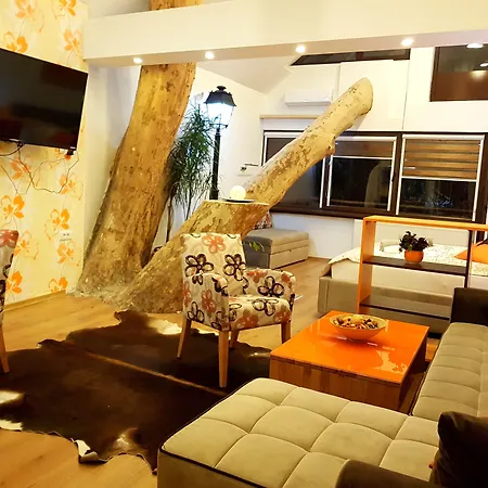 Pansion River Sarajevo