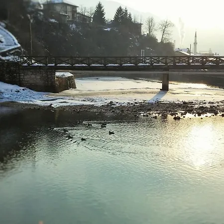 Pansion River 게스트하우스