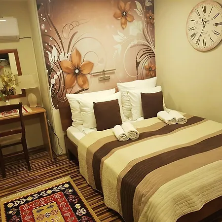 Pansion River Guest house 3*