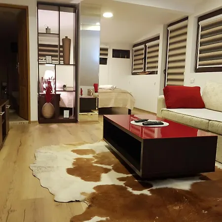 Guest house Pansion River