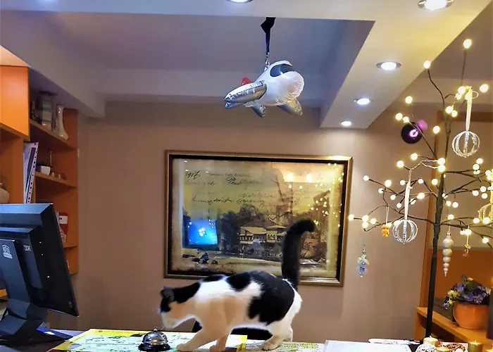 Pansion River Affittacamere